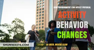 Environment's Impact on Shaping Physical Activity Behavior Changes