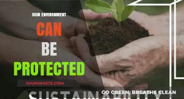 Sustainable Practices to Safeguard Our Environment for Future Generations