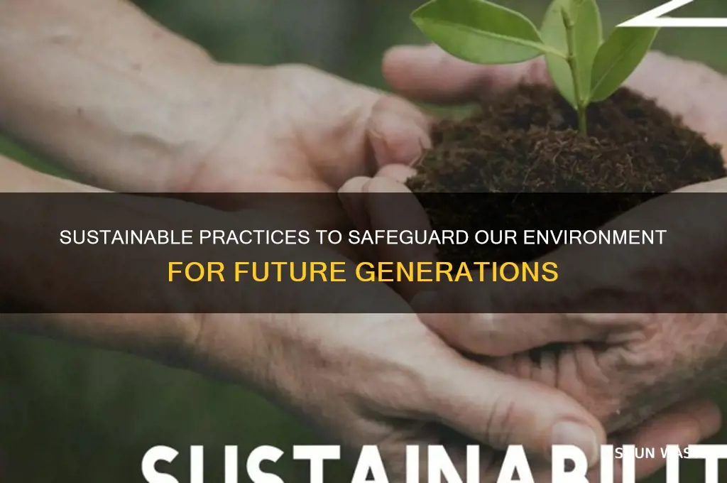 how environment can be protected