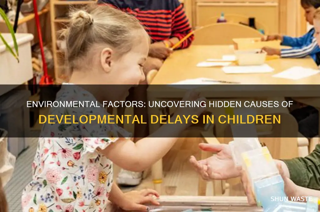 how environment can cause delays in children