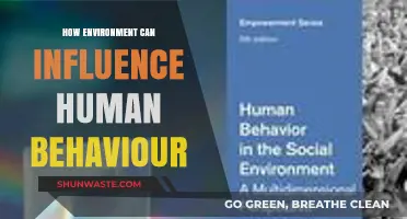 Environmental Impact: Shaping Human Behavior and Psychological Responses