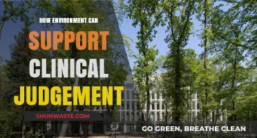 Enhancing Clinical Judgement: The Role of Supportive Environments in Healthcare