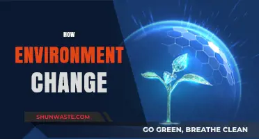 Understanding the Impact of Environmental Change on Our Planet's Future