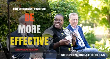 Enhancing Environmental Justice: Strategies for More Effective Green Courts