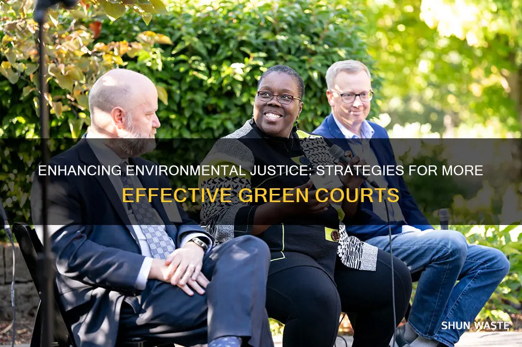 how environment court can be more effective