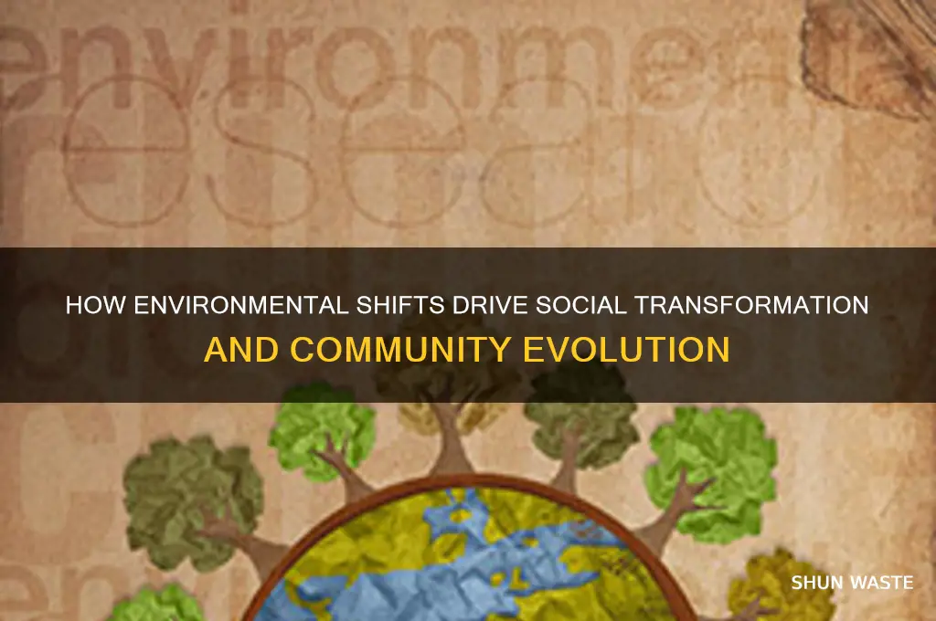 how environment create social change