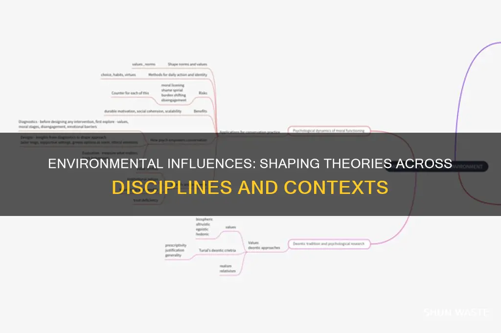 how environment factors affects theory