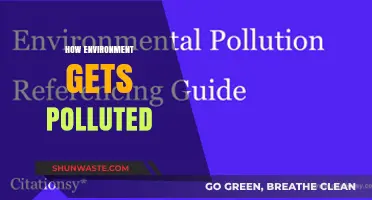Human Activities Polluting Our Environment