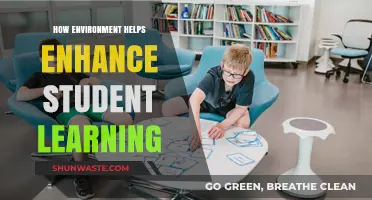 Nurturing Minds: How Environment Boosts Student Learning and Engagement