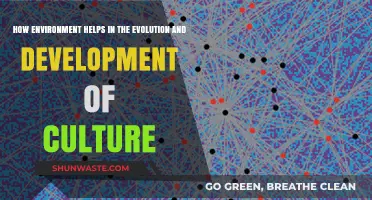 Environment's Role in Shaping Cultural Evolution and Development