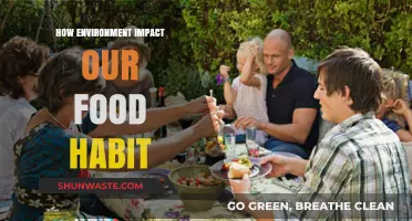 Environmental Influences: Shaping Our Food Choices and Eating Habits