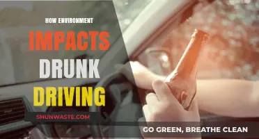 Environmental Factors: Uncovering Their Influence on Drunk Driving Incidents