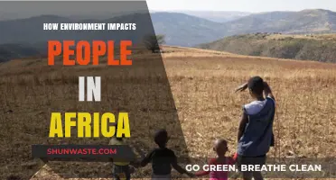 Africa's Environment: Shaping Lives, Communities, and Futures Across the Continent