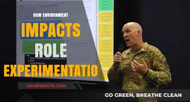 Environmental Influence on Role Experimentation: Shaping Behavior and Innovation