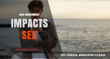 Environmental Factors Shaping Sexual Behavior and Reproductive Health Insights