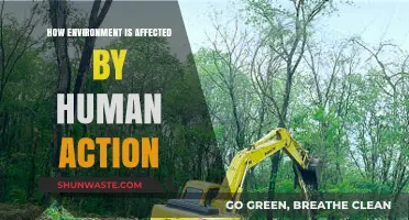 Human Impact: How Our Actions Shape the Environment's Future