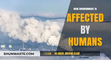 Human Impact on Nature: Exploring Our Environmental Footprint and Consequences