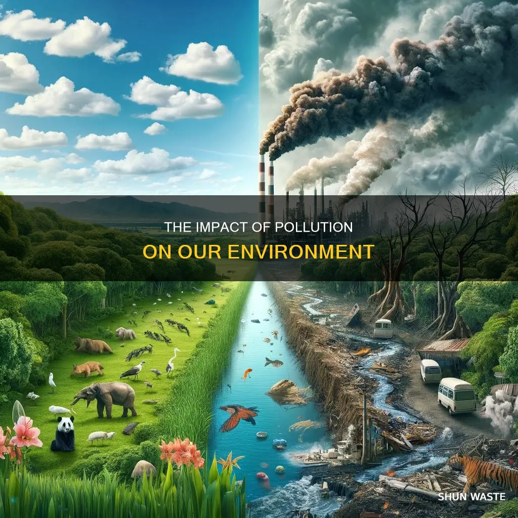 how environment is affected by pollution