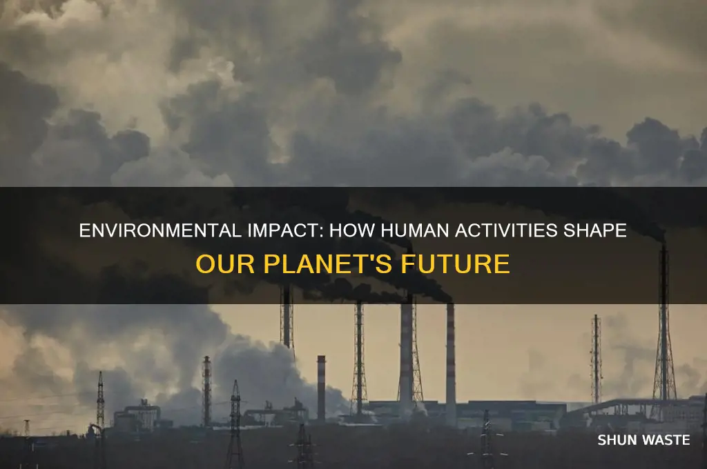 how environment is affected