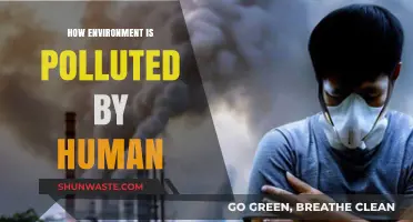 Human Impact: Environmental Pollution and Our Future