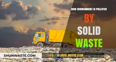 Solid Waste's Impact: Environmental Pollution