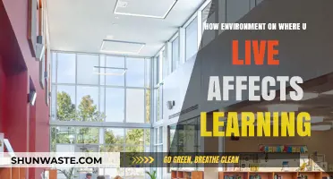 How Your Living Environment Shapes Learning and Academic Success