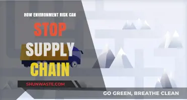 Environmental Risks: A Looming Threat to Global Supply Chain Stability