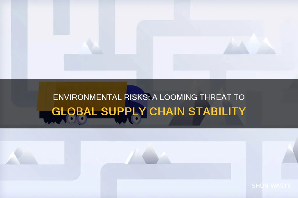 how environment risk can stop supply chain