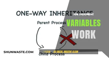 Understanding Environment Variables: A Comprehensive Guide to Their Functionality