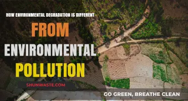 Environmental Degradation vs Pollution: What's the Difference?