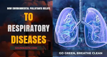 Air Pollution: Respiratory Diseases and Environmental Toxins