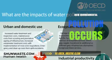 Environmental Pollution: Human Activities and Their Impact