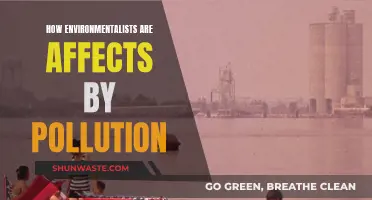 Environmentalists: Pollution's Unseen Victims and Their Fight