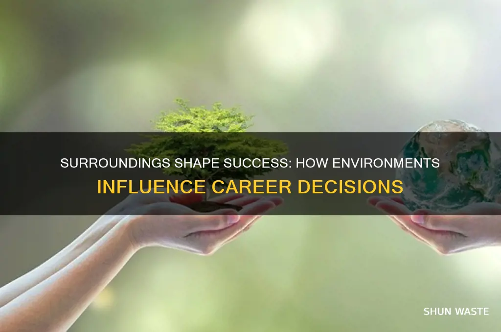 how environments affect career choice