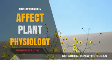 Environmental Influences on Plant Physiology: Growth, Adaptation, and Survival