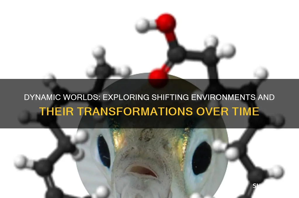 how environments an vary and change overtime