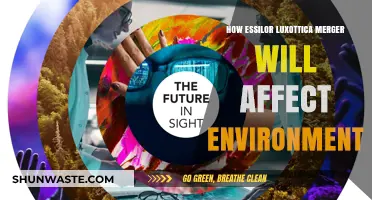 EssilorLuxottica Merger: Environmental Impact and Sustainability Challenges Ahead