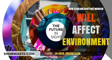 EssilorLuxottica Merger: Environmental Impacts and Sustainability Challenges Ahead