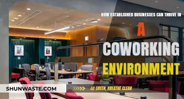 Thriving Together: How Established Businesses Can Excel in Coworking Spaces