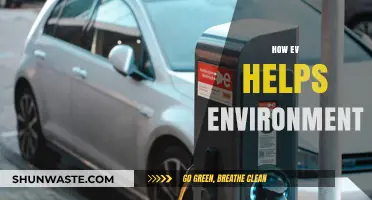 Electric Vehicles: Driving a Greener Future and Reducing Carbon Footprints