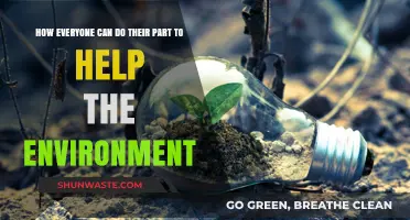 Sustainable Steps: Simple Actions for a Greener, Healthier Planet