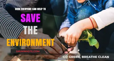 Simple Eco-Friendly Actions: How Everyone Can Save Our Planet