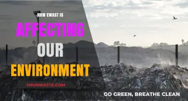 E-Waste Crisis: Environmental Impact and Urgent Solutions Needed