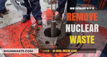 The Costly Challenge of Nuclear Waste Removal and Disposal
