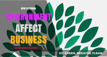 Navigating Business Success: Understanding External Environment Impacts and Strategies