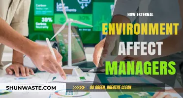 Navigating the External Environment: How Managers Adapt and Thrive Amidst Change