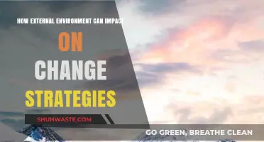 Navigating Change: How External Forces Shape Organizational Transformation Strategies
