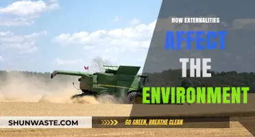 Environmental Impact: How Externalities Shape Our Planet's Health