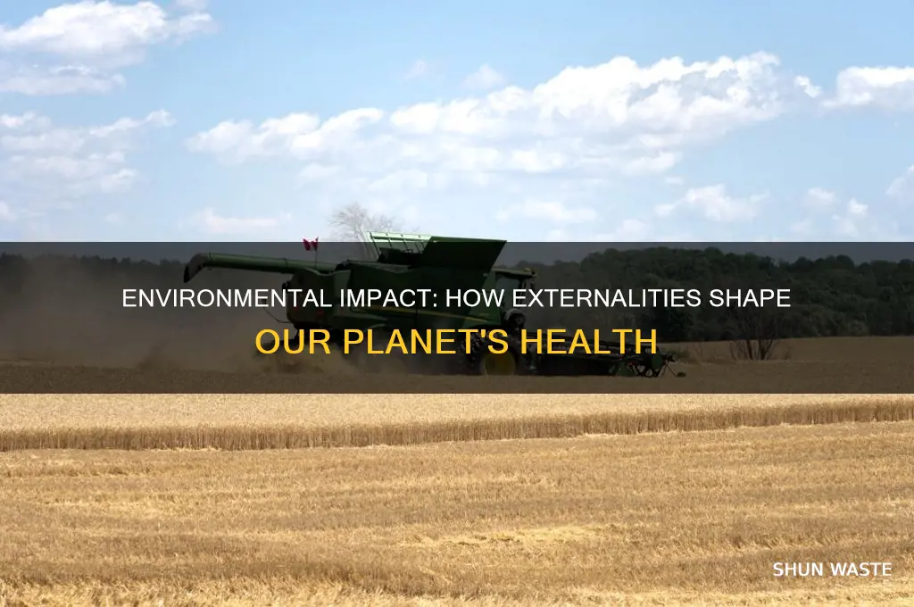 how externalities affect the environment