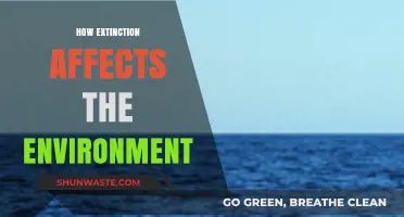The Ripple Effect: How Extinction Reshapes Our Fragile Ecosystems